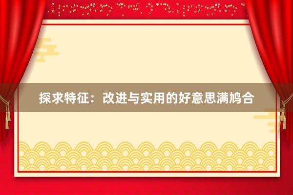 探求特征：改进与实用的好意思满鸠合