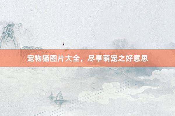 宠物猫图片大全，尽享萌宠之好意思
