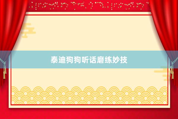 泰迪狗狗听话磨练妙技