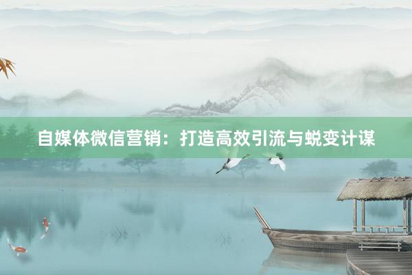 自媒体微信营销：打造高效引流与蜕变计谋